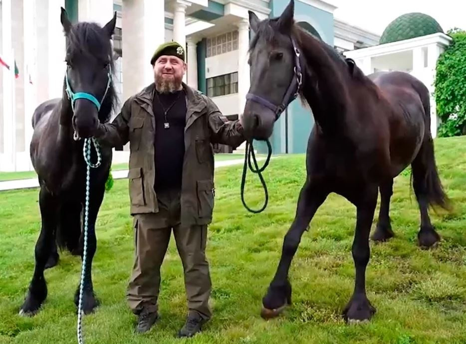 Лошадь кадырова. Лошади Рамзана Кадырова. Чеченские лошади. Чеченская порода лошадей.